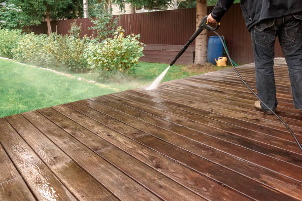 Best House Exterior Washing  in Atwater, MN