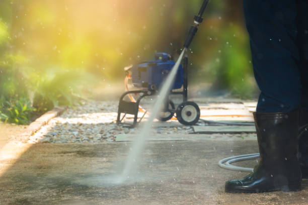 Best Gutter Cleaning  in Atwater, MN